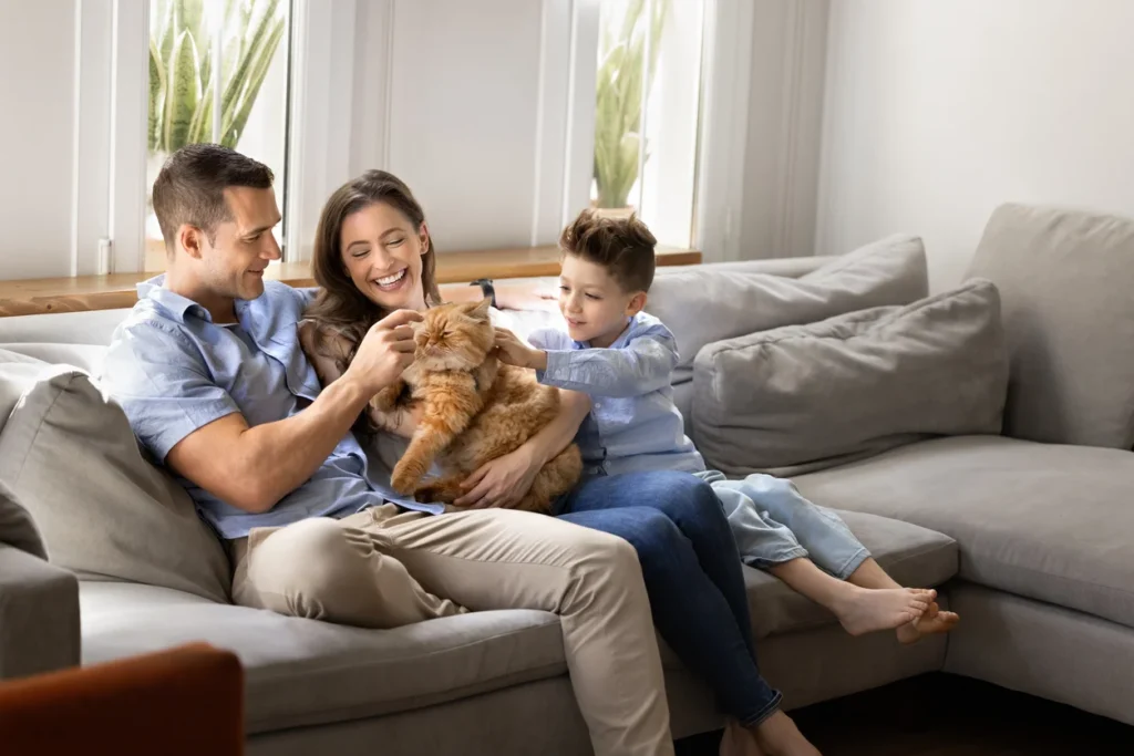 Choosing a Medical Insurance Plan with the Right Network in the UAE